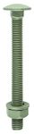 TIMco 10160INCB Index Coach Bolt, Nut and Washer 10 x 160 - Organic Green (Bag of 10)