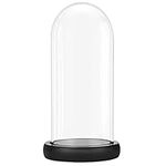 BELLE VOUS Glass Dome Cloche Bell Jar with Black Wooden Base - 26.5cm / 10.43 Inches - Clear Decorative Tabletop Display Case with Tray for Fairy Lights, Centrepieces and Antiques