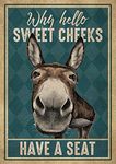 Donkey Why Hello Sweet Cheeks Have A Seat Funny Poster Garage Wall Decor Metal Sign Poster 8x12 inch