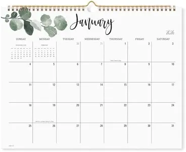 Cabbrix 2025-2026 Wall Calendar, 17 Monthly Calendar Runs from March 2025 to June 2026, Home Schooling Planner for Family and School, Wirebound,15 x 12 Inches