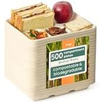 HAAGO 10" Compartment Plates - Sugarcane Bagasse 5 Compartment Food Trays, 21x26cm - Biodegradable & Compostable - Perfect Party Plates for Outdoor Events & Schools (500 Pack)