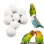 FOIBURELY 8 Pcs Solid Parrot Plastic Eggs Hatching Eggs Lovebird, Bourkes, Lineoleated, Eng Budgie. Trick The Birds to Stop Laying Eggs, Fake Eggs（22mm18mm）