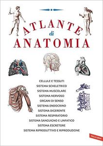 Atlante di