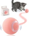 Havenfly Interactive Cat Ball Toy, 