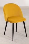 Finch Fox Romantic Vintage Dining Chairs Rustic Yellow Velvet Cushion Seat Chair with Black Powdered Coated Metal Legs