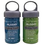 ALOZAY 2 Pack Cooling Towel (40"x 1