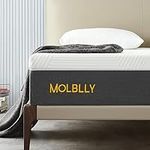 Molblly 10 Inches Queen Size Mattre