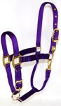 Hamilton 1DAS AVPU 1-Inch Nylon Halter with Adjustable Chin, Purple - Average Size, 800-1100-Pounds