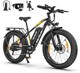 VARUN Electric Bike, 26" 4.0 Fat Ti