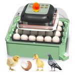 Kufika Incubators for Hatching Eggs,