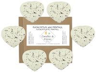 Eucalyptus and Menthol Extra Large (4.35 oz) Shower Steamers - Can Last Approximately18 Showers - Handmade in Canada with Pure Essential Oil - 6 Count