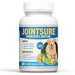 Hip and Joint Supplement for Dogs 3