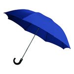 Rainbrella 2-Fold Auto Open Umbrella with Sleeve and Plastic Hook Handle, Blue, 42", 48135