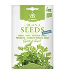 Parsley (Giganti di Napoli) Certified Organic Seeds for Planting, by Minigarden, Contains Between 3,000 and 3,600 Seeds