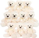 MorisMos 10 Packs Bulk Teddy Bear B