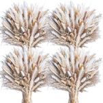 440PCS Natural Dried Pampas Grass Boho Home Decor Bouquet Phragmites Dried Flowers Bouquet for Wedding Floral Arrangements Home Decorations (440PCS)