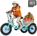 MOONCOOL 16"×3" Youth Electric Trik