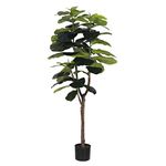 Blooming Artificial Plants Indoors in Pots, Faux Decorative Foliage, No Hassle, Easy Care, Perfect for Bringing Life to Indoor Spaces (Fiddle Leaf Fig) (Green) (150cm)