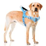 ADVENTUREMORE No Pull Dog Harness, Sport Dog Halter Harness Adjustable Reflective Dog Vest Escape Proof Dog Harness with Easy Control Front Clip Handle for Training Walking