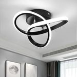 EIDISUNY LED Lamp 2 Rings Creative Personality Nordic White Black Ceiling Lighting for Entrance Hallway Lights Ceiling Living Room Cool White Light 22W (Black)