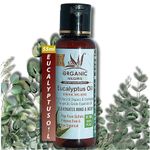 Organic Nilgiris Pure, cold-pressed Natural eucalyptus oil from the Nilgiri region: Pure Refreshing Eucalyptus oil for comfort and relaxation Aroma for Cold Cough wellness Support, Steam Inhalation, Aromatherapy, and Diffuser Bliss-(55ml-1p)