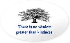 CafePress WISDOM GREATER THAN KINDN