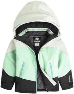GEMYSE Girls Winter Coat Waterproof Windproof Girls Ski Jacket with Hood Kids Quilted Outerwear(Ambrosia Green Patchwork,10/12)