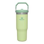 Stanley IceFlow Stainless Steel Tumbler - Vacuum Insulated Water Bottle for Home, Office or Car Reusable Cup with Straw Leak Resistant Flip Cold for 12 Hours or Iced for 2 Days, Citron, 30oz