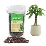 Money Tree Potting Soil, Soil Mix for Planting or Repotting Guiana Chestnut, Soil Blended to Properly Grow Money Tree Plants - (1 Liter Bag)