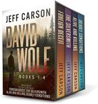 The David Wolf Mystery Thriller Ser