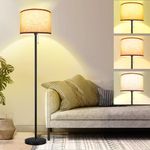 FUNNYBEHOM Floor Lamp, Floor Lamps for Living Room 3 Color Temperature Standing Lamp with Pull Chain Switch, Black Floor Lamp with Lampshade, Modern Tall Light for Bedroom Office(9W Bulb Included)