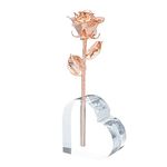 Forever Rose Acrylic Heart Vase Combo - Timeless, One of a Kind, Real Rose Gold Dipped Rose, Romantic Acrylic Heart-Shaped Vase Included