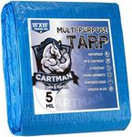 CARTMAN Finished Size 15x15 Feet Blue Poly Tarp 5 Mil Thick, Multipurpose Protective Cover for Camping, Tent, Boat, RV, Car