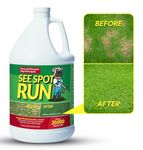 See Spot Run Eliminate Yellow Spots On Your Lawn Caused by Dog Urine | All-Natural, Safe for Pets and Humans | Made in The USA | Ready-to-Mix Gallon (128 oz)