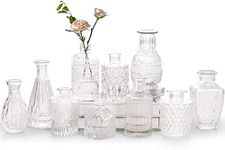 Glass Bud Vase Set of 10 - Small Va