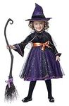 Toddler Hocus Pocus Witch Costume S