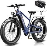 Jasion Thunder Pro Electric Bike,20