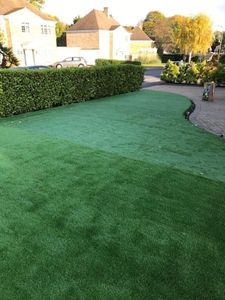 Eckman Artificial Grass Power Brush – Electric Lawn Sweeper