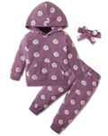 4T Girl Clothes Fall Cute Toddler Baby Girls Outfits 4 Year Old Winter Sweatsuits for Girls 3-4t Trendy Sweatshirt Pants Sets Hoodie Sweater 3t-4t Girls Warm Clothes