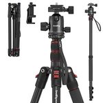 Tripod With Monopods