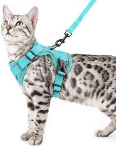 pangdi Cat Harness and Leash Set Escape Proof Tactical Extra Large Kitten Harness Emotional Support Cat Vest, Turquoise, XL