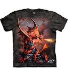 The Mountain Men's Fire Dragon Tee, Gray, X-Large