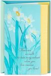 Hallmark Sympathy Card (White Flowe