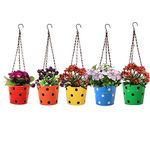 TrustBasket Dotted Round Hanging Basket - Set of 5 (Red, Yellow, Green, Orange, Blue)