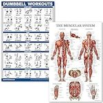 QuickFit Dumbell Workouts and Muscu