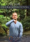 Qi Gong Mindfulness in Motion with Lee Holden (YMAA 2018 DVD) Meditation for Beginners