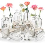 YOUEON 16 Pack Living Bud Vases, Clear Glass Flower Vase, 8 Oz Decorative Glass Bottles, Glass Vase, Centerpiece for Home Decor Centerpieces, Office Table Decor, Wedding Reception, Vintage Look