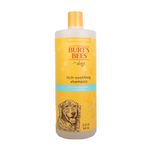 Burt's Bees for Dogs Natural Itch Soothing Shampoo with Honeysuckle | pH Balanced for Dogs - Made in The USA, 32 Ounces