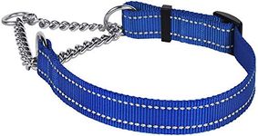 Petlicious & More® (Size - Large, Thickness - 1.25" Inch) Martingale Collar Reflective Choke Collar for Large Dogs (Adjustable 18-26" Inch Neck Size, Color Blue)