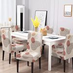 BRIDA® Stretchable Floral Geometric Printed Dining Chair Cover Set of 6 Seater Elastic Chair Seat Case Protector, Slipcovers (6 Chair Cover, Abstract Circles)